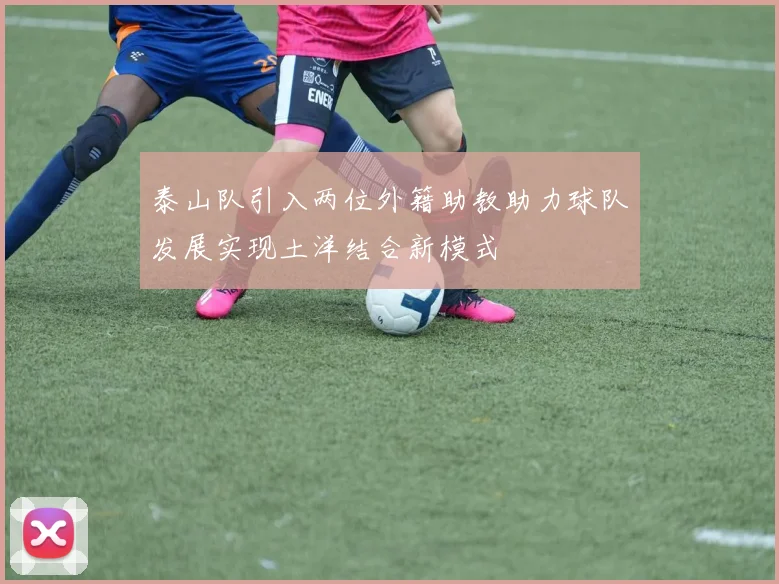 泰山队引入两位外籍助教助力球队发展实现土洋结合新模式
