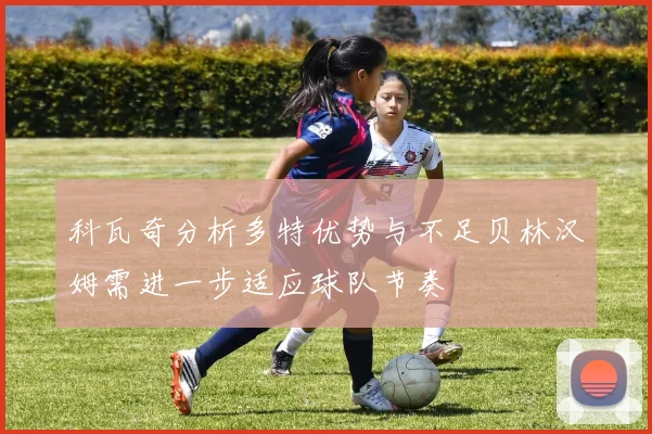 科瓦奇分析多特优势与不足贝林汉姆需进一步适应球队节奏