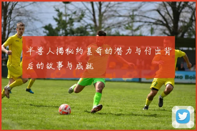 半兽人揭秘约基奇的潜力与付出背后的故事与成就